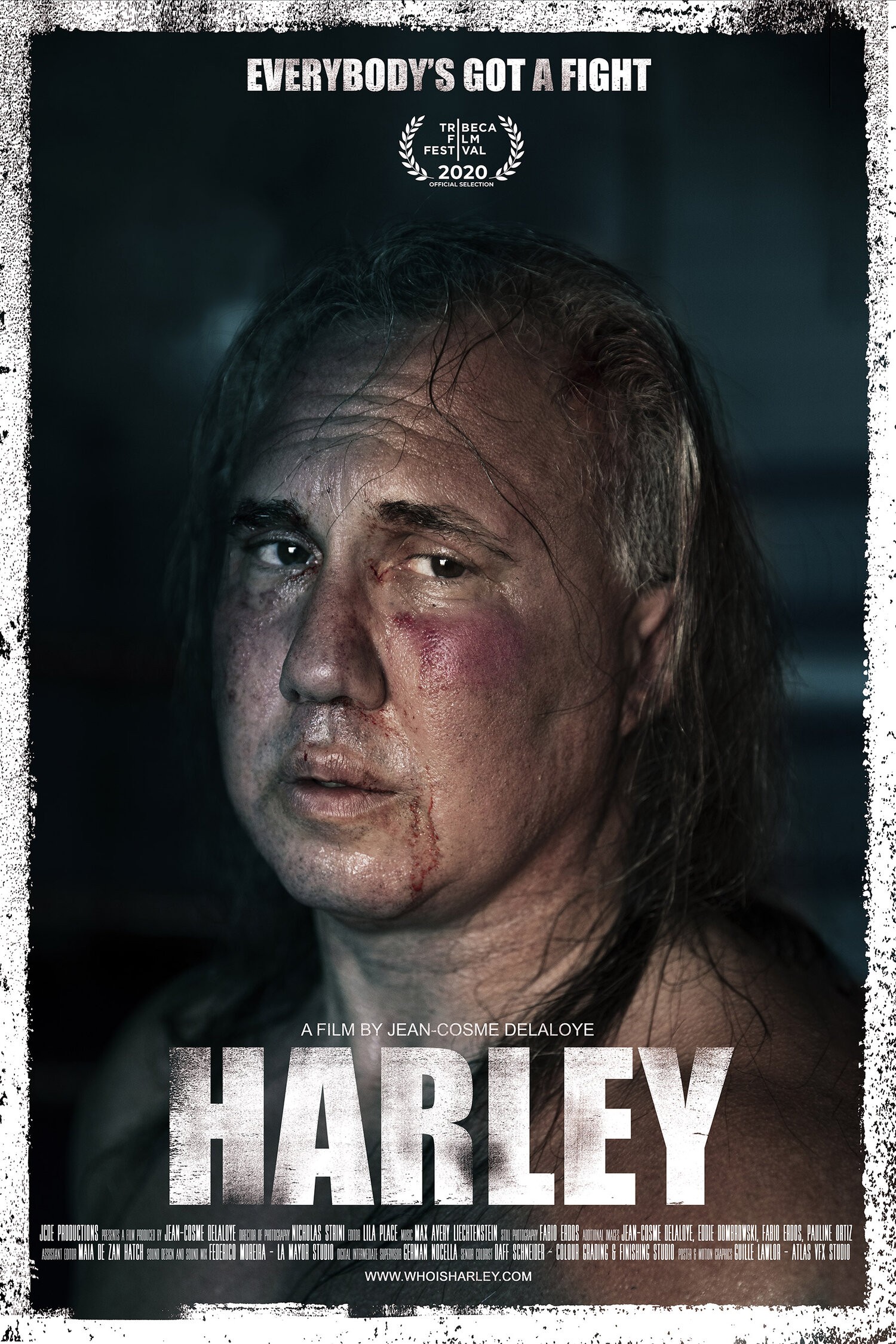 Harley | Rotten Tomatoes