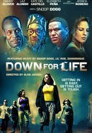 Down for Life poster image