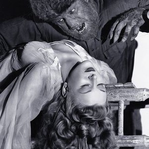 "The Wolf Man photo 13"