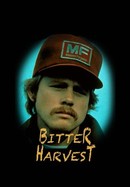 Bitter Harvest poster image