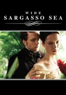 Wide Sargasso Sea poster image