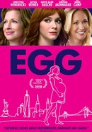Egg poster image