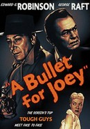 A Bullet for Joey poster image