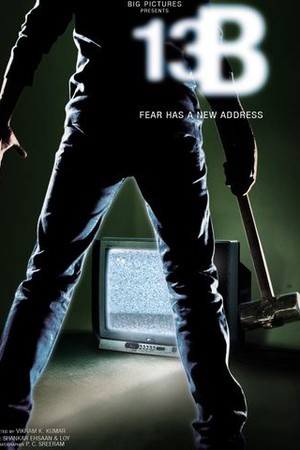 13B poster