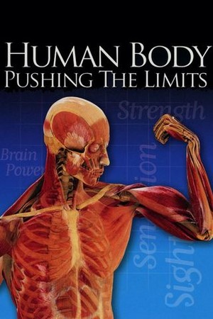 The Human Body poster