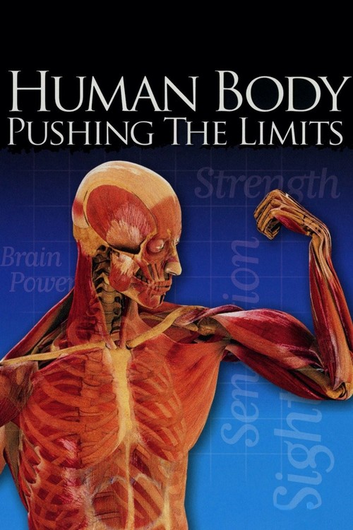 The Human Body poster