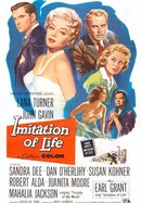 Imitation of Life poster image