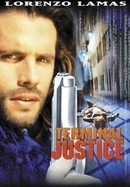 Terminal Justice poster image