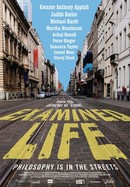 Examined Life poster image