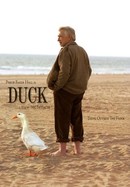 Duck poster image