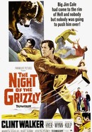 The Night of the Grizzly poster image