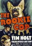 The Rookie Cop poster image