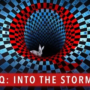 Q Into the Storm Rotten Tomatoes