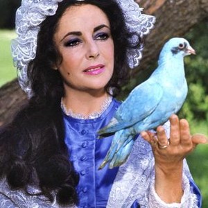 The Blue Bird (1976) photo 11