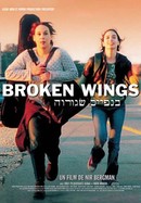 Broken Wings poster image