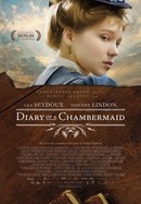 Diary of a Chambermaid poster image