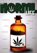 A Norml Life poster image