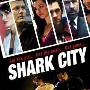 Shark City photo 3