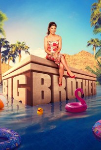 Big Brother poster image