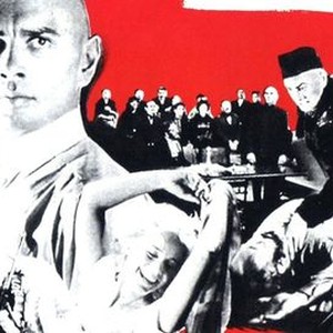 The Brothers Karamazov photo 8