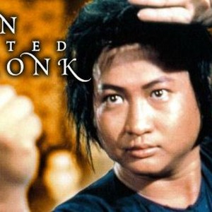 The Iron-Fisted Monk photo 8