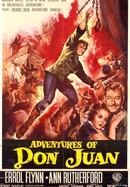 Adventures of Don Juan poster image