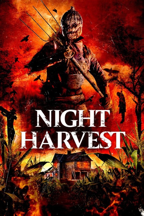 Night Harvest poster