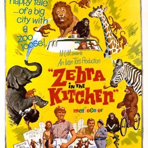 Zebra in the Kitchen (1965) photo 9