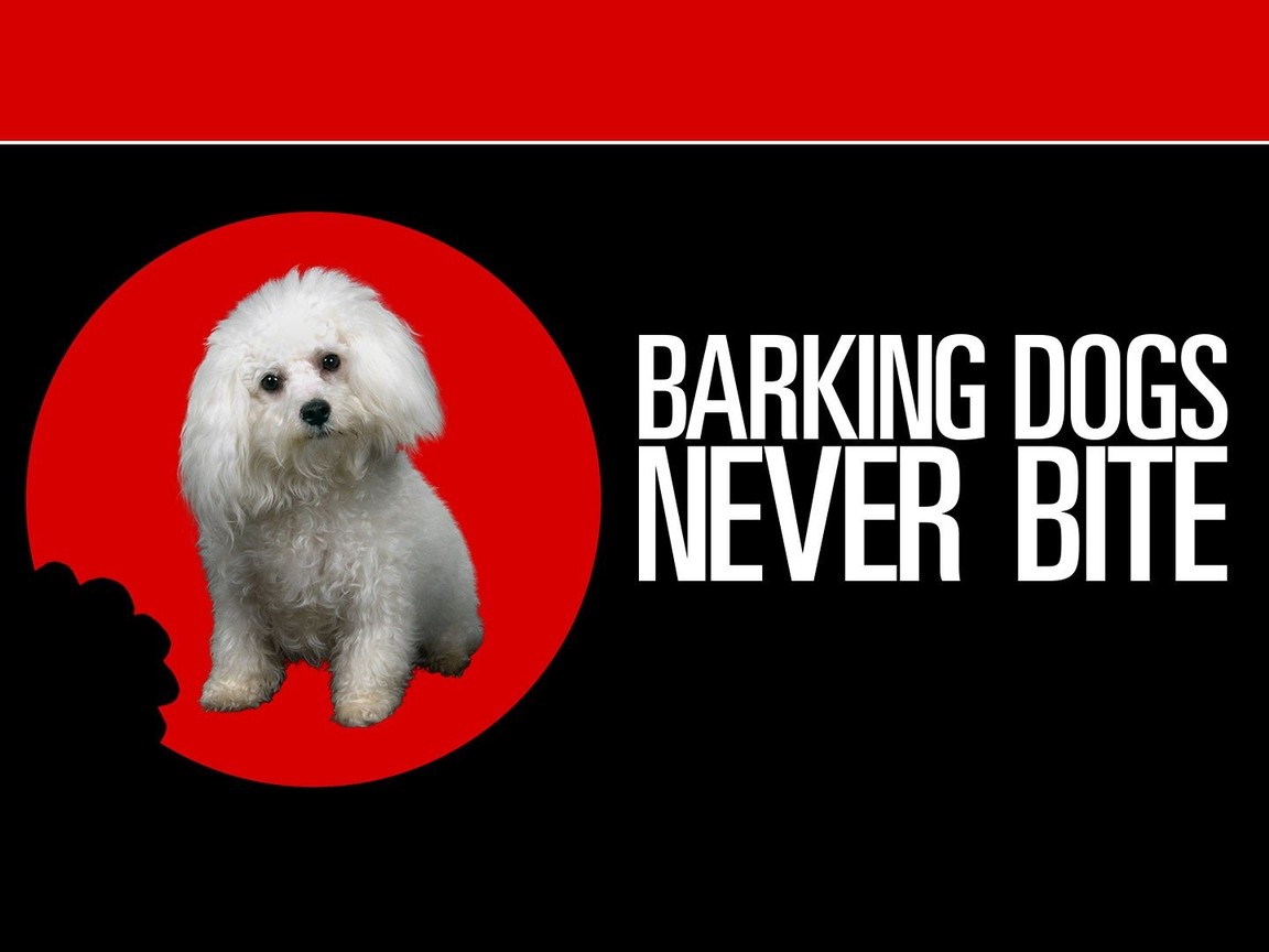 a-barking-dog-never-bites-meaning