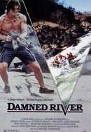 Damned River poster image