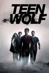 Teen Wolf: Season 5 poster image