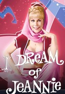 I Dream of Jeannie poster image