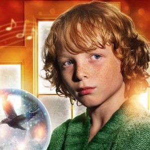 Finn photo 8