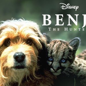"Benji the Hunted photo 9"