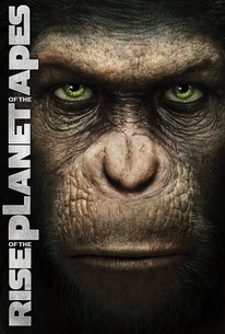 dawn of the planet of the apes hindi dubbed 300mb