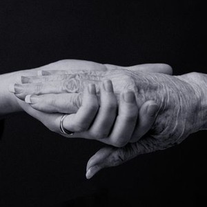 Evie Rose - Rotten Tomatoes