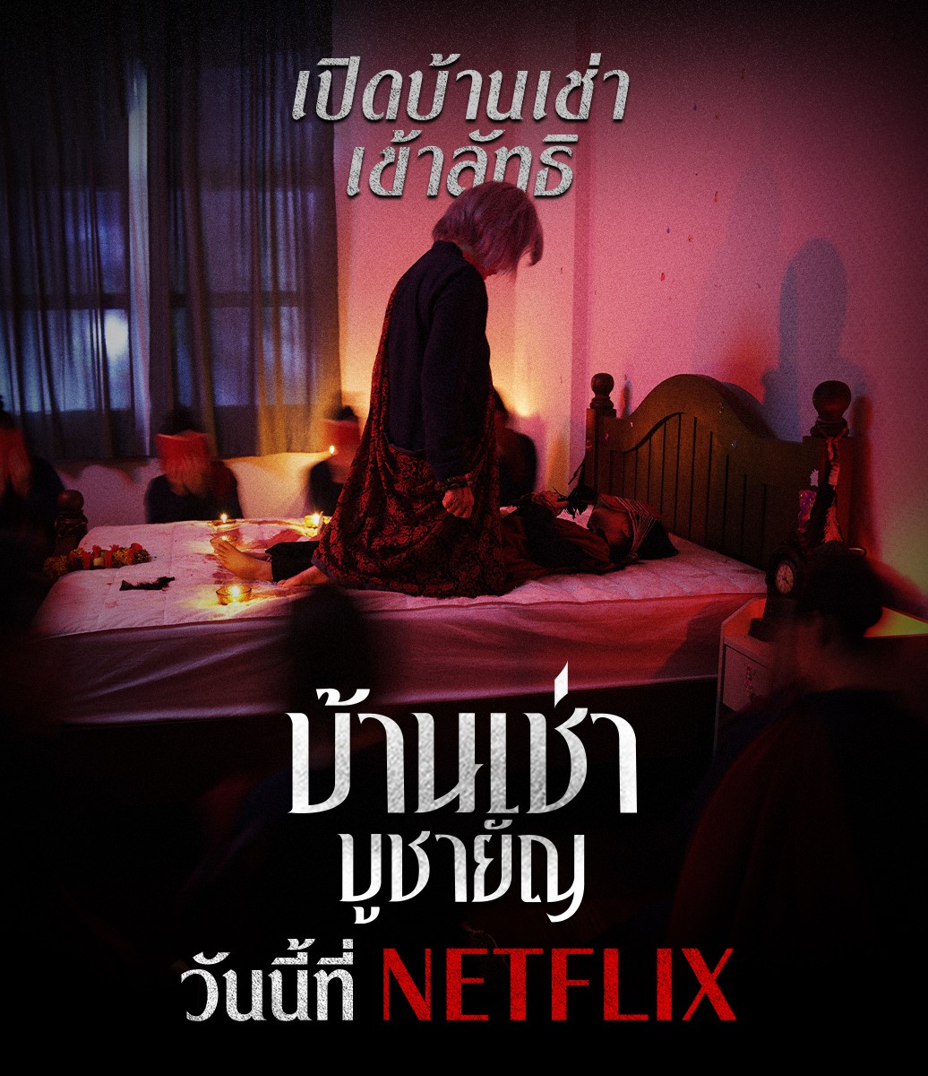 Home for rent rotten tomatoes