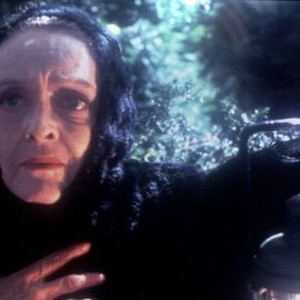The Watcher in the Woods (1980) photo 9
