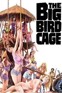 The Big Bird Cage poster