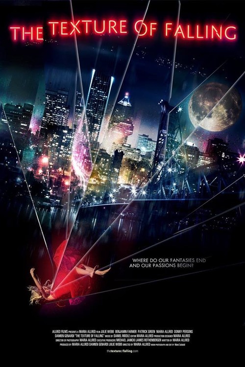 The Texture of Falling poster