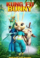 Kung Fu Bunny poster image