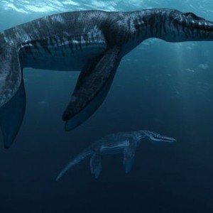 Sea Rex: Journey to a Prehistoric World (2010) photo 1