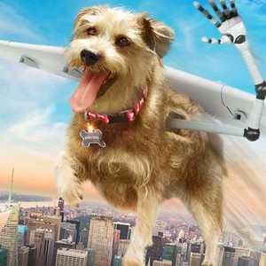 "Robo-Dog: Airborne photo 2"