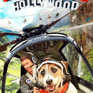 A Doggone Hollywood photo 8