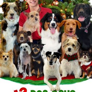 12 Dog Days Till Christmas photo 6