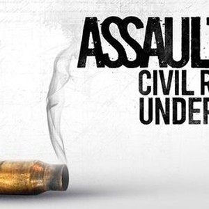 Assaulted: Civil Rights Under Fire photo 13