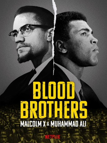 Amazon.com: Brother Minister: The Assassination of Malcolm X