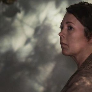 The Lost Daughter photo 13