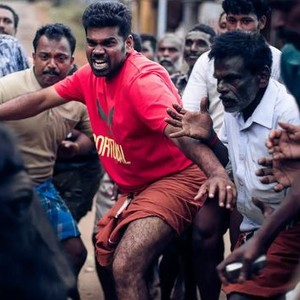 Jallikattu (2019) - News - IMDb