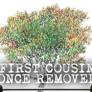 First Cousin Once Removed photo 12